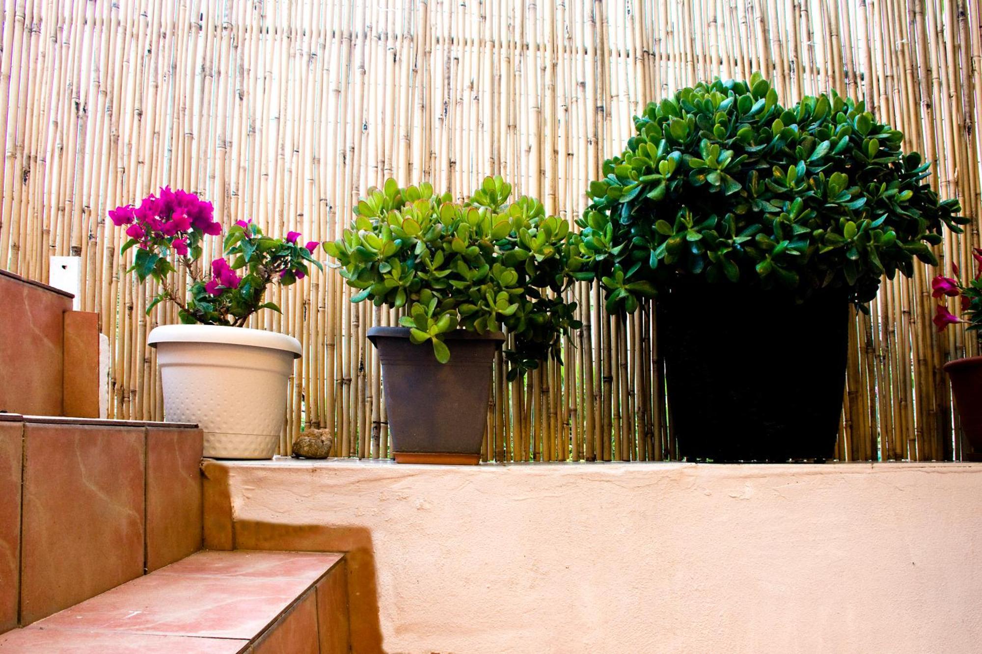 Villa Lilian'S House La Canea Exterior foto